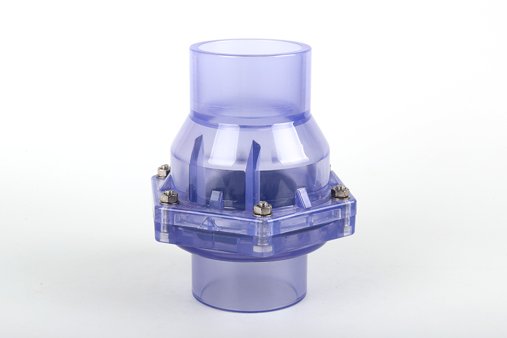 雷鸣镇透明翻板式止回阀